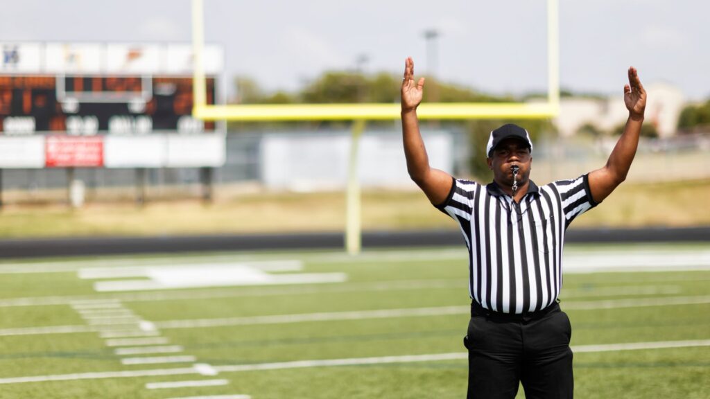 how much does rugby referees receives as payment