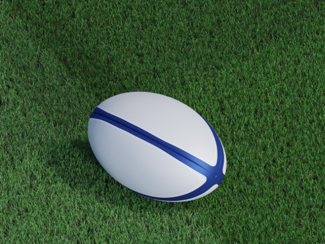 A white rugby ball with a blue stripe resting on the grass.