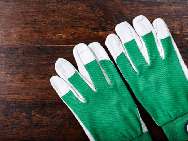 A pair of green and white garden gloves resting on a wooden surface.